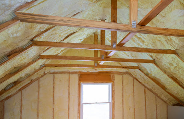 Insulation Replacement Services in Land O Lakes, FL