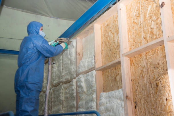 Range of Insulation Solutions in Land O Lakes, FL